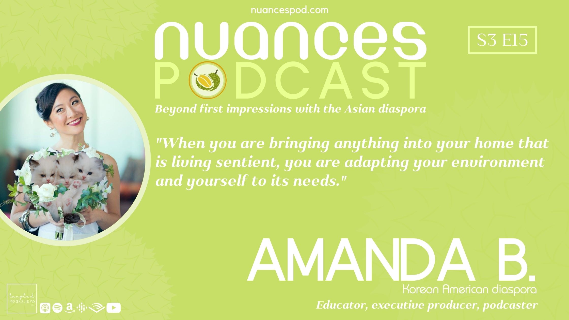 Amanda B. on 6 Degrees of Cats, gender-based violence prevention, and her experience as a transnational & transracial adoptee.
